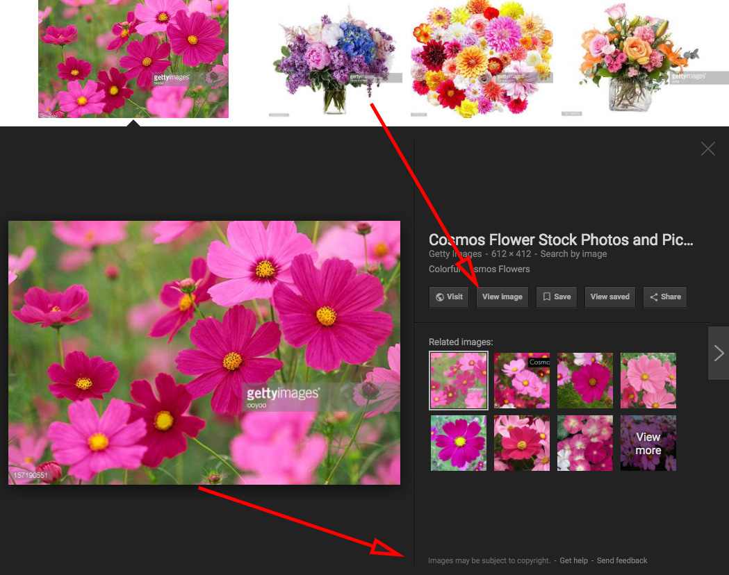 Medir cuántos usuarios hacen click para ampliar la imagen en Google Imágenes, aunque no entren en nuestra web